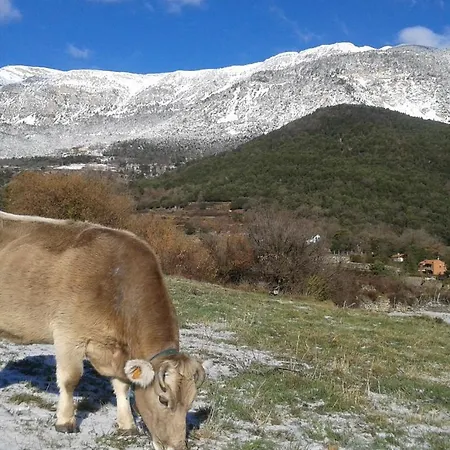 Graner Sant Llorenc de Morunys